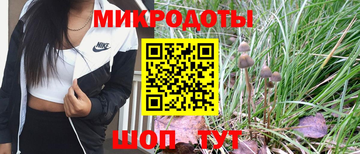 Псилоцибиновые грибы Psilocybine cubensis  Вход с VPN  Железноводск 